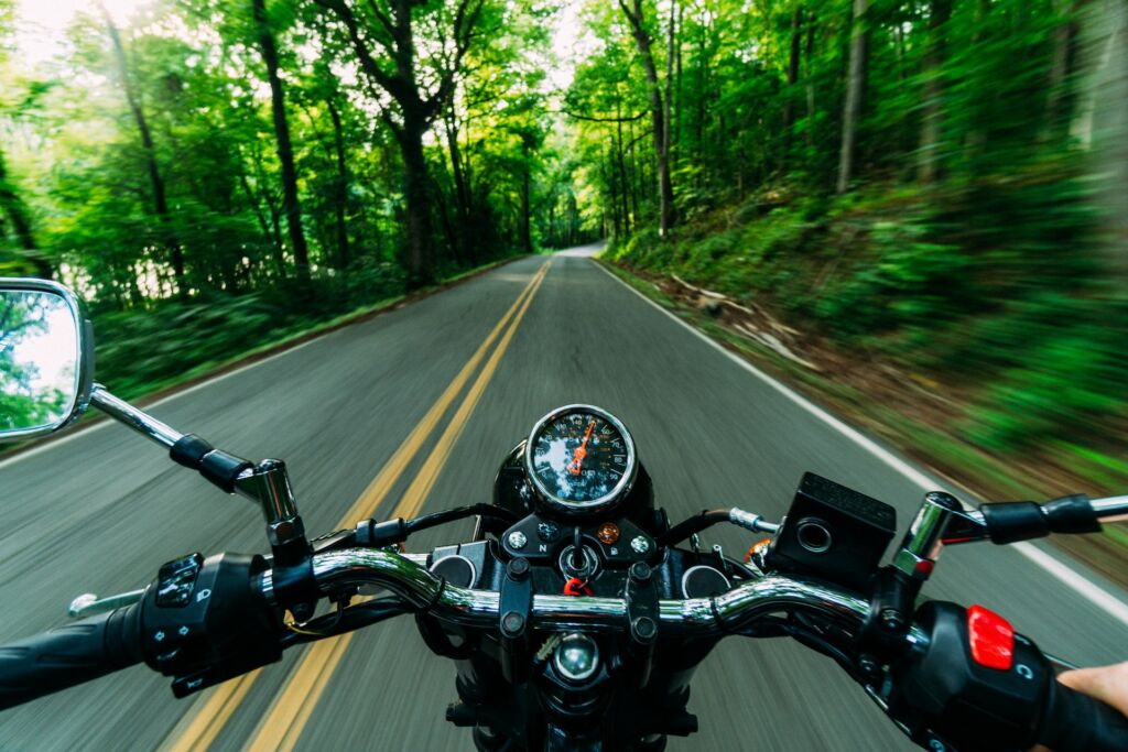 helmet camera picture of biker driving through forest