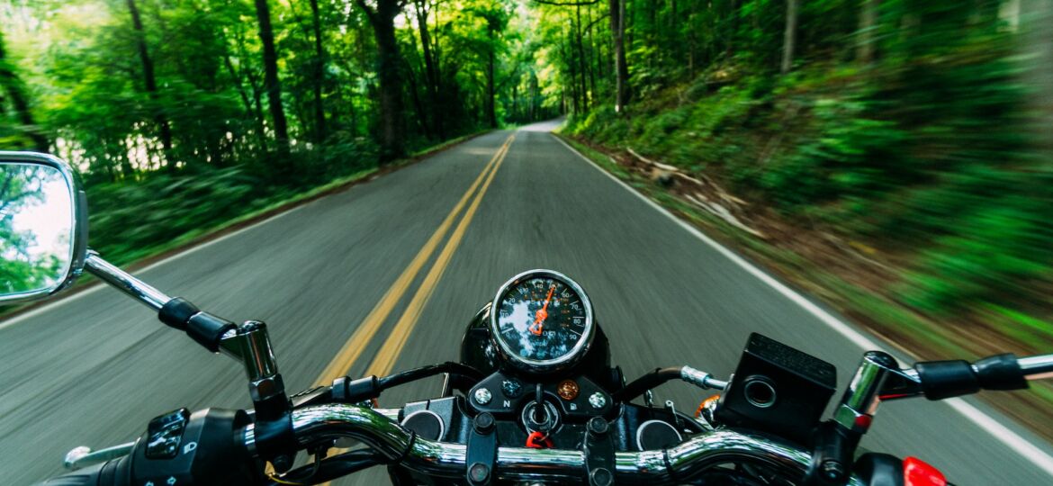 helmet camera picture of biker driving through forest